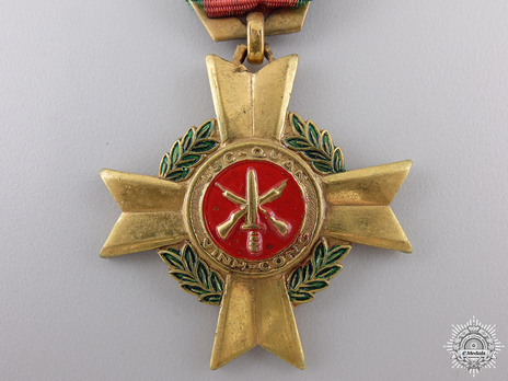 Meritorious Service Bronze Gilt Medal Obverse