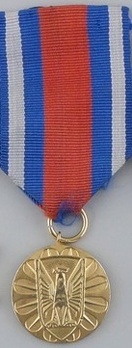 Medal for Merit in the Protection of Public Order, I Class Obverse