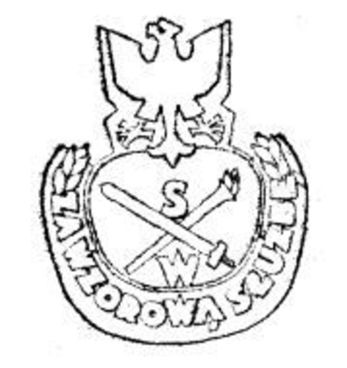 Badge 1960
