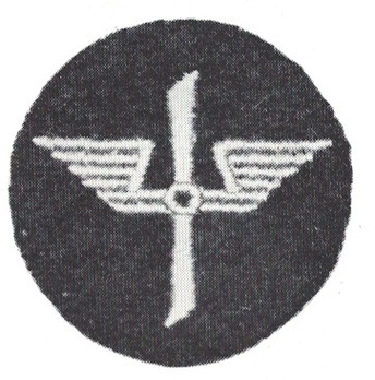 DLV Flying Personnel Trade Insignia Obverse