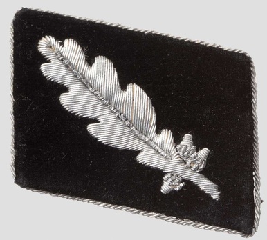 Waffen-SS Post-1942 Standartenführer Collar Tabs Obverse