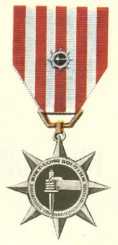 Special Service Medal 