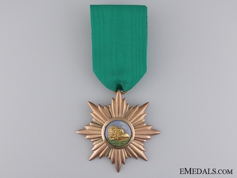 Order of Art and Science, II Class Obverse