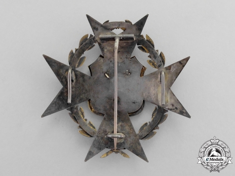 Grand Cross Breast Star of Honour and Merit (1876-1899) Reverse