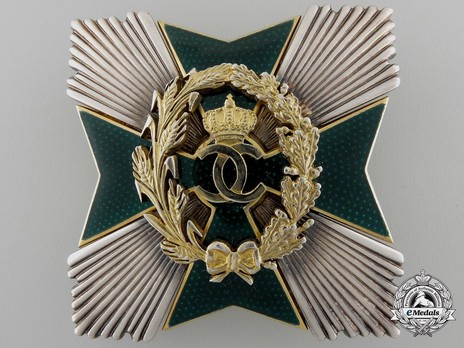 Order of Agricultural Merit, Type I, Grand Officer's Breast Star Obverse