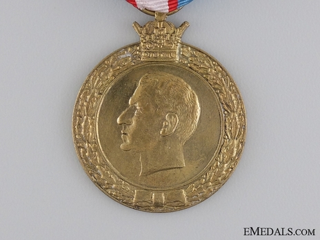 National Uprising (28th Amordad) Medal, 1953 Obverse