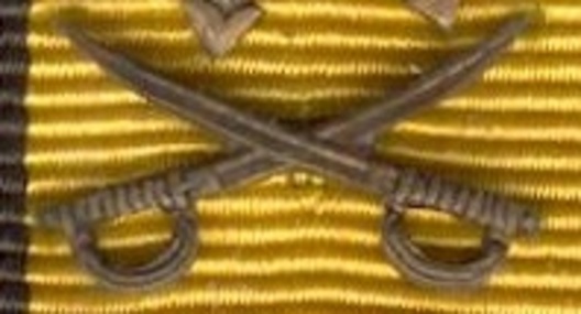 Bronze Medal Clasp for Military Service Obverse