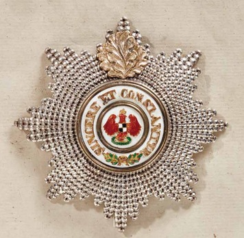 Order of the Red Eagle, Civil Division, I Class Breast Star (with oak leaves, with faceted rays) Obverse