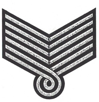 DAF 3rd Pattern Reichsorganisationsleiter Sleeve Rank Insignia Obverse