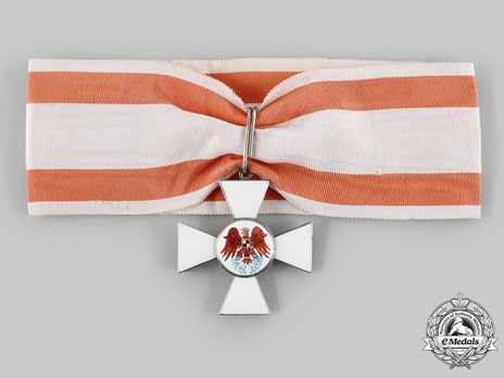 Order of the Red Eagle, Type V, Civil Division, II Class Cross (in silver gilt) Obverse