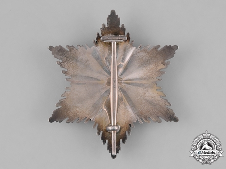 II Class Breast Star with Swords Obverse