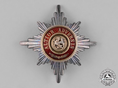 Order of the Griffin, Civil Division, Commander Cross Breast Star Obverse