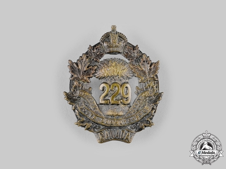 229th Infantry Battalion Other Ranks Cap Badge Obverse