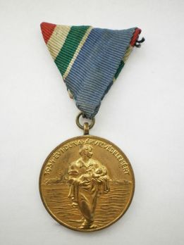 Flood Protection Medal (1954) Obverse