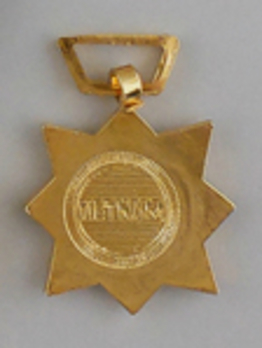 Civil Actions Miniature Civic Actions Medal Reverse