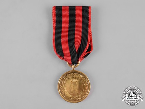 Campaign Medal, 1866 (for one campaign) Obverse