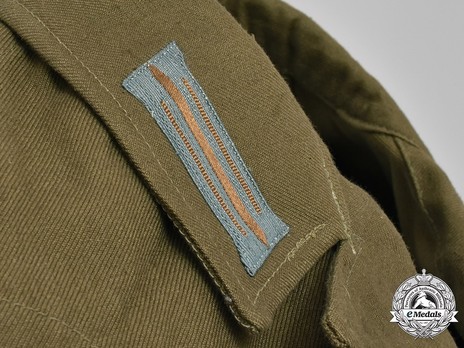 German Army Tropical Collar Tabs Obverse