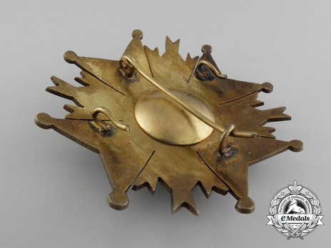 Commander Breast Star (Bronze silvered) Reverse