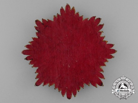 Grand Cross Breast Star, Embroidered, Reverse