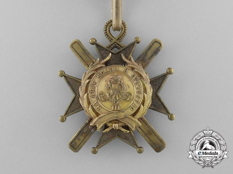 Order of the Cross of Takovo, Civil Division, V Class Obverse