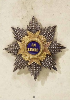 House Order of the Golden Flame, Breast Star (Prinzen size) Obverse