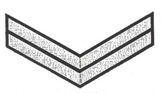 DAF 2nd Pattern Werkscharführer Sleeve Rank Insignia Obverse