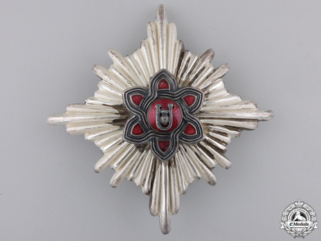 I Grand Officer Class Breast Star (for ladies) Obverse