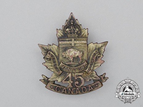 45th Infantry Battalion Other Ranks Cap Badge Obverse