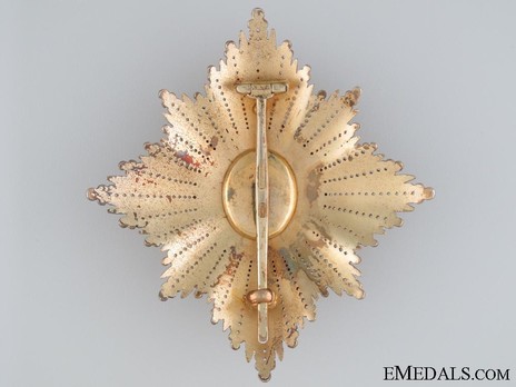 Order of the White Eagle, Type II, Civil Division, I Class Breast Star Reverse