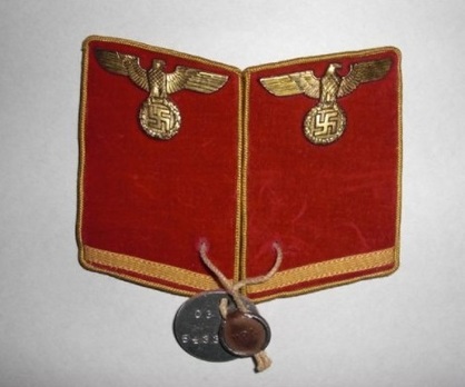 NSDAP Helfer Type IV Reich Level Collar Tabs Obverse