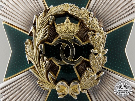 Order of Agricultural Merit, Type I, Grand Officer's Breast Star Obverse Detail