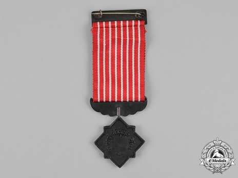 Safeguarding Bronze Medal (II Class) Reverse