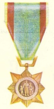 Civil Actions Medal, II Class 