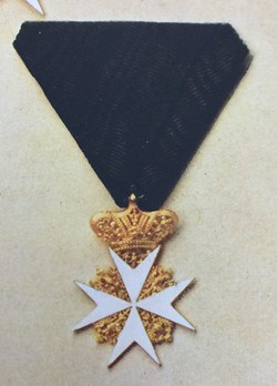 Order of the Knights of Malta, Gold Cross "Piis Meritis"
