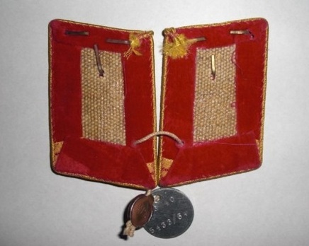 NSDAP Oberhelfer Type IV Reich Level Collar Tabs Reverse
