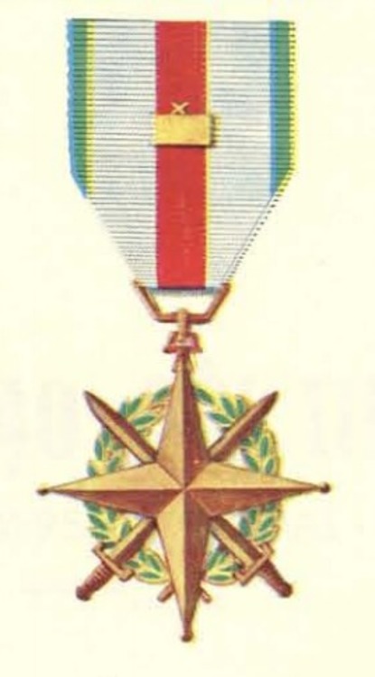 Vietnam leadership medal