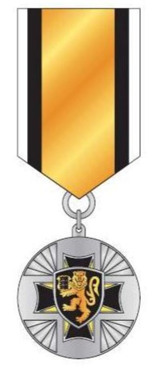 V class medal
