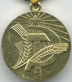 Development of the Non-Black Earth Region of the RSFSR Brass Medal Reverse