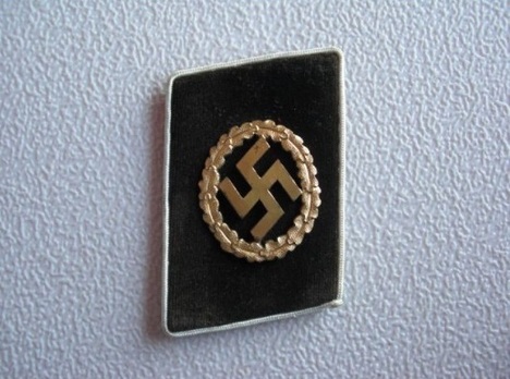 NSDAP Sonderbeauftragter Type IV Kreis Level Collar Tabs Obverse
