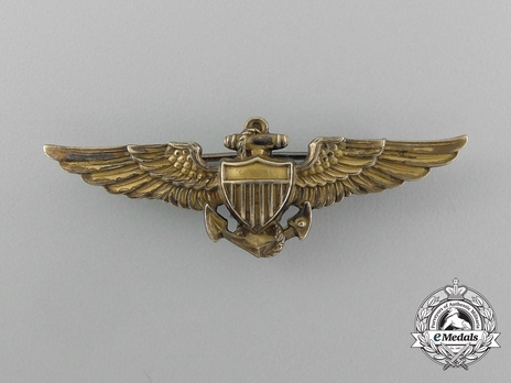 Pilot Wings (with gilt) Obverse
