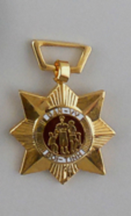 Civic actions medal miniature o1