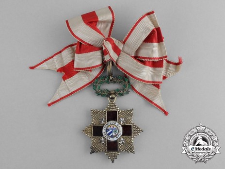 Order of the Red Cross, Type I, Commander (for Ladies) Obverse