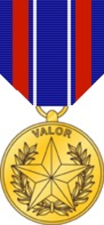 Sec def medal for valor