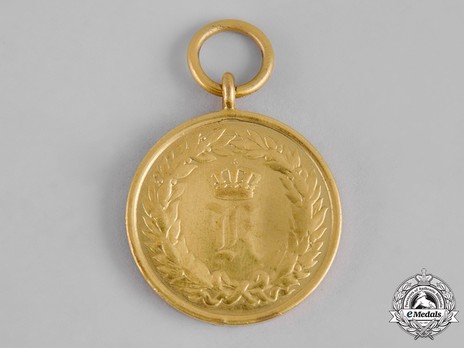 Campaign Medal, 1866 (for one campaign) Obverse