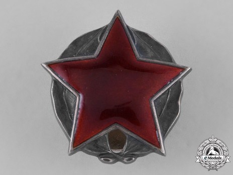 Order of the Partisan Star, II Class Obverse