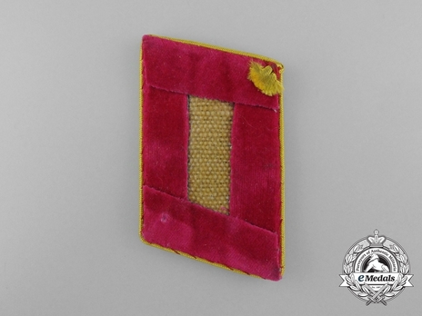 NSDAP Dienstleiter Type IV Reich Level Collar Tabs Reverse