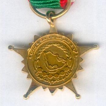 Miniature Gulf Co-operation Gulf Medal, I Class Star Reverse