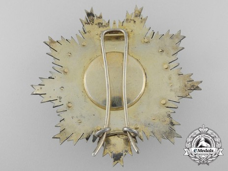 Commander Breast Star (Silver gilt and gold) Reverse