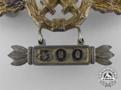 Air-to-Ground Support Clasp, in Gold (with "300" pendant) Detail