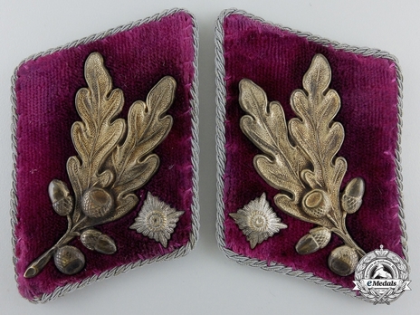 SA Brigadeführer Collar Tabs (1933-1944 Westfalen version) Obverse
